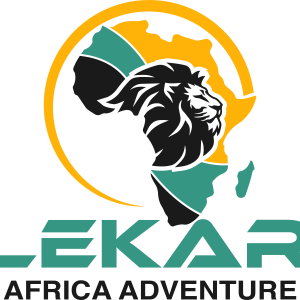 TRANSPARENT LEKAR AFRICA ADVENTURE 2